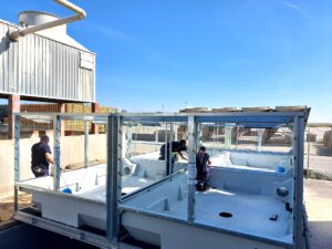 Renovación de torres de refrigeración para la industria alimentaria en Andalucía